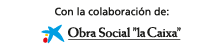Banner La caixa