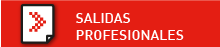 Salidas Profesionales